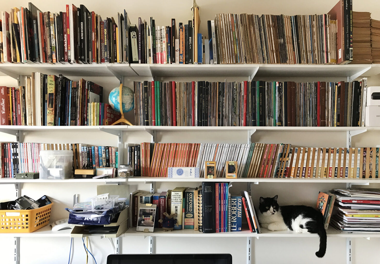 Foto de quatro níveis de uma estante cheia de quadrinhos com uma gata preto e branca na estante inferior, à direita
