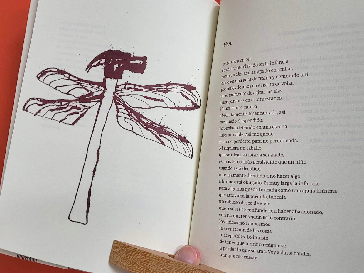 Livro aberto mostrando desenho de martelo com asas de libélula
