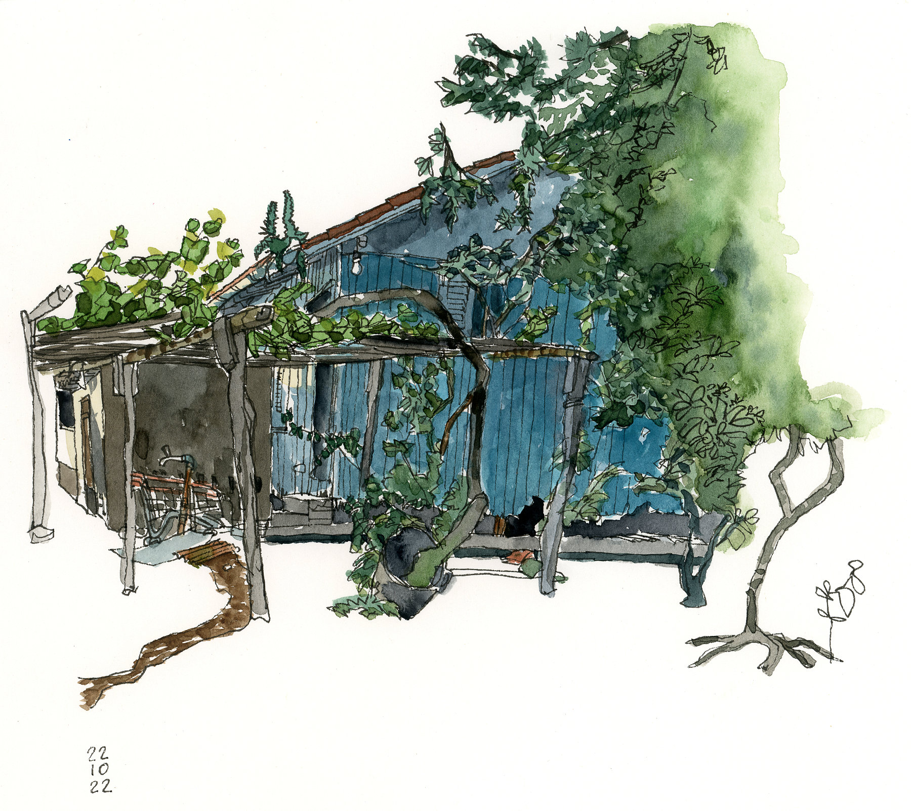 Desenho a traço e aquarela mostrando uma casa azul com parreira em frente