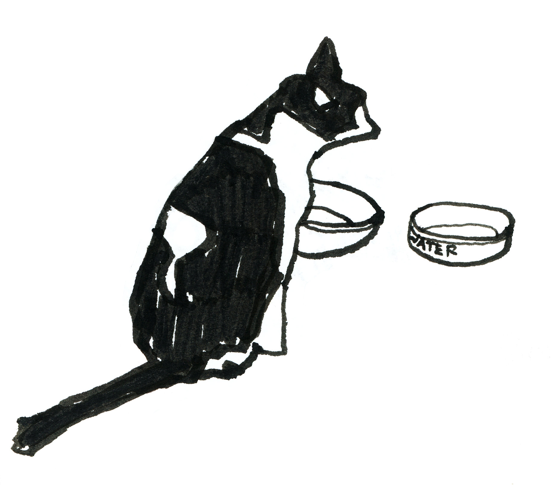 Desenho a traço, em preto, da gata Beterraba sentada, de costas, em frente a dois pratinhos de comida